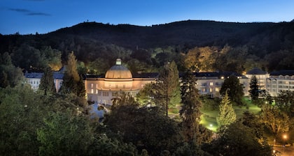 Maritim Hotel Bad Wildungen