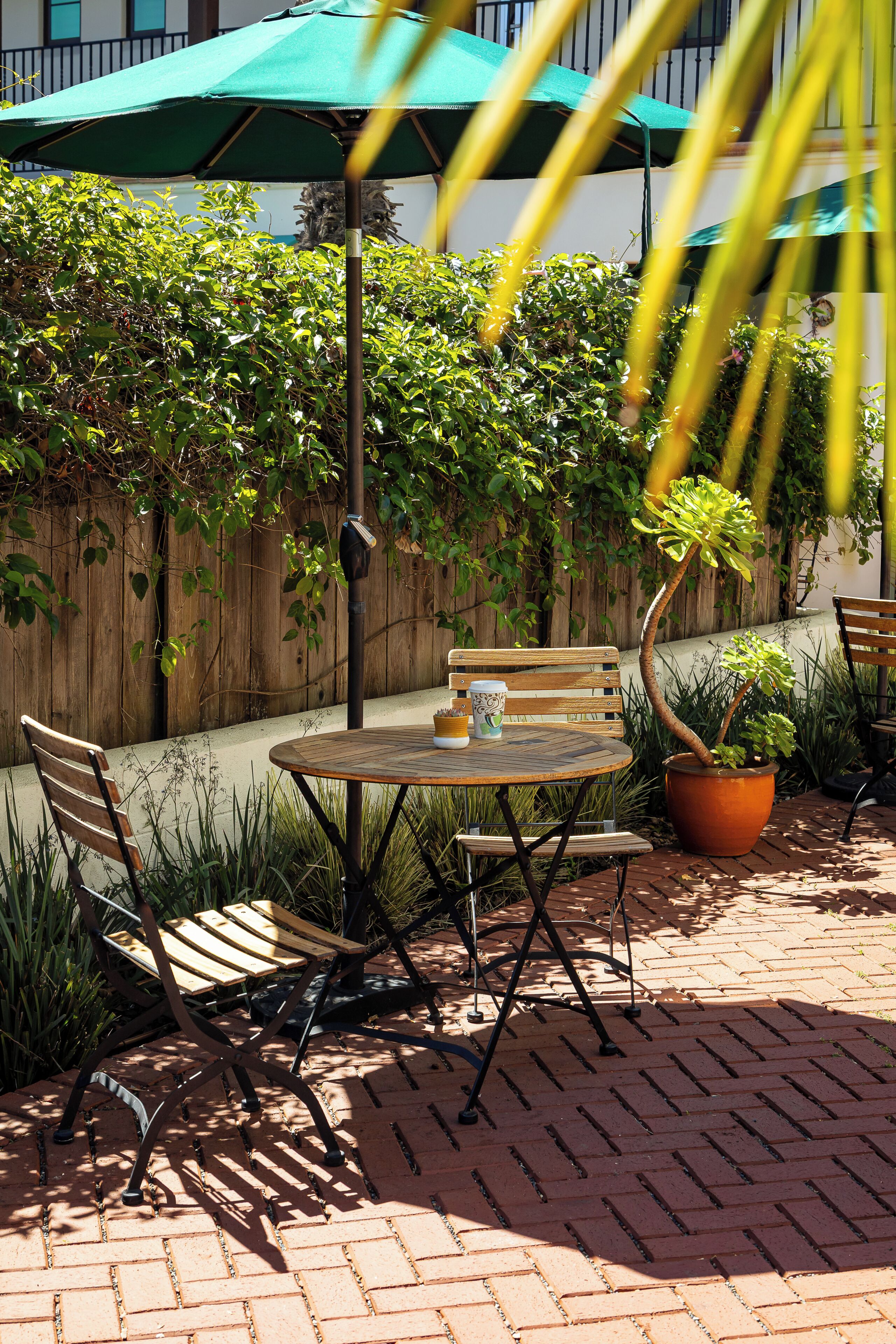A patio with a round table, two wooden chairs, a potted plant, and a wooden fence.