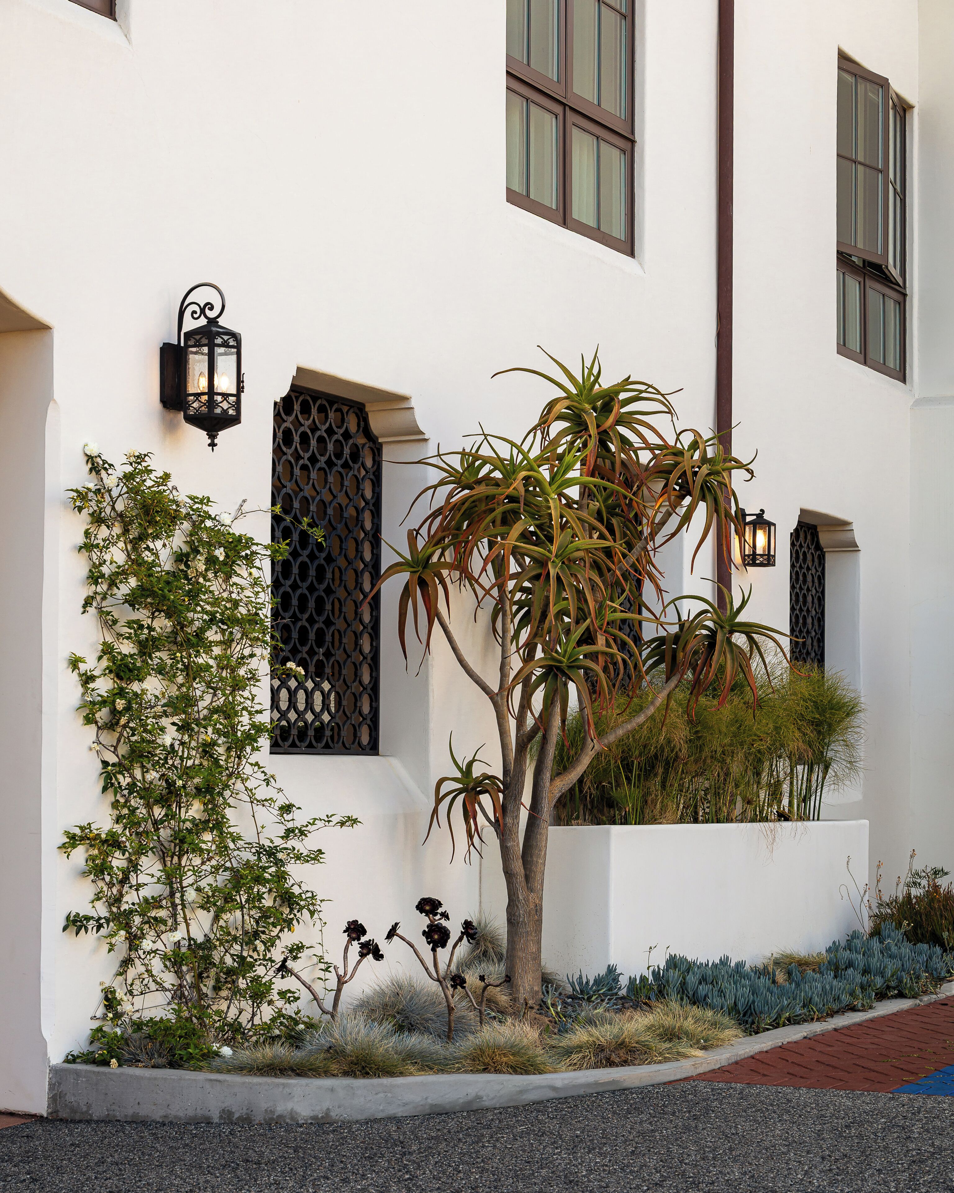 A building with a white exterior, black window frames, and a small tree in a planter.