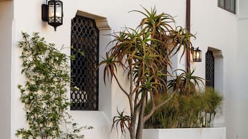 A building with a white exterior, black window frames, and a small tree in a planter.