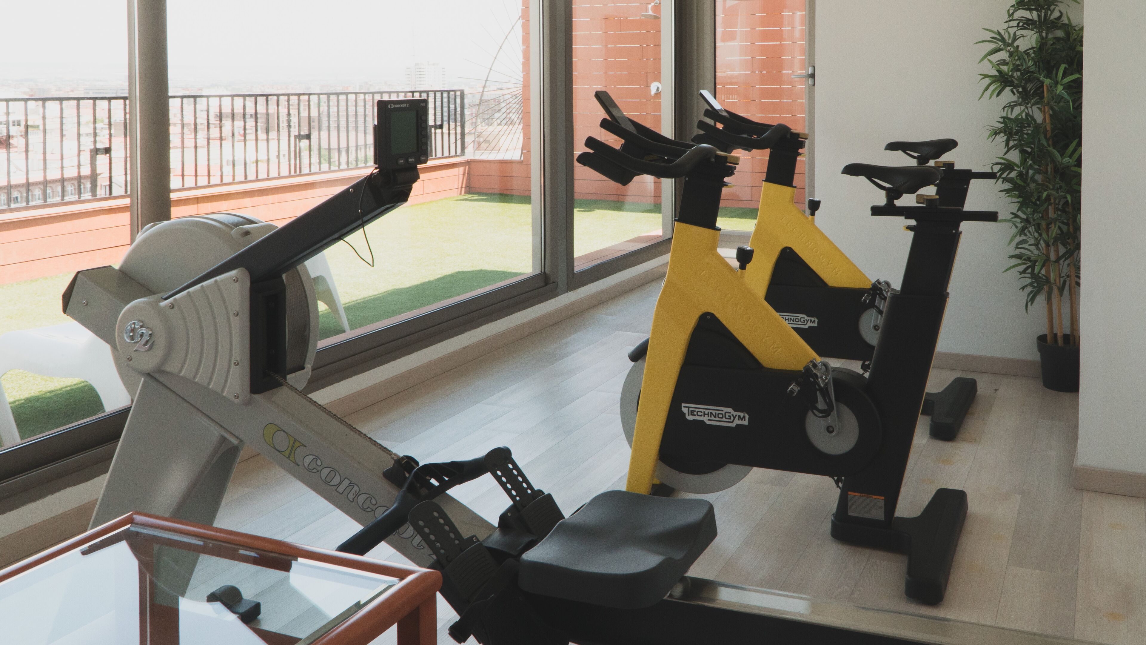 Photo - Zenit Don Yo