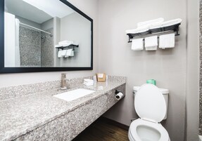 Accessible bathroom