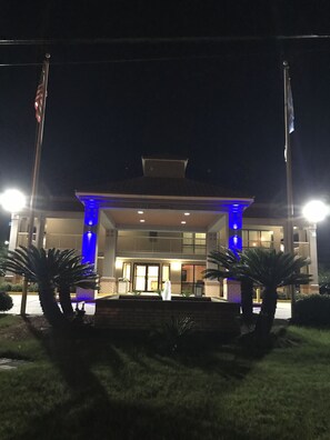 Een hotelingang met een overdekte luifel, blauw verlichte accenten en twee palmbomen op de voorgrond.