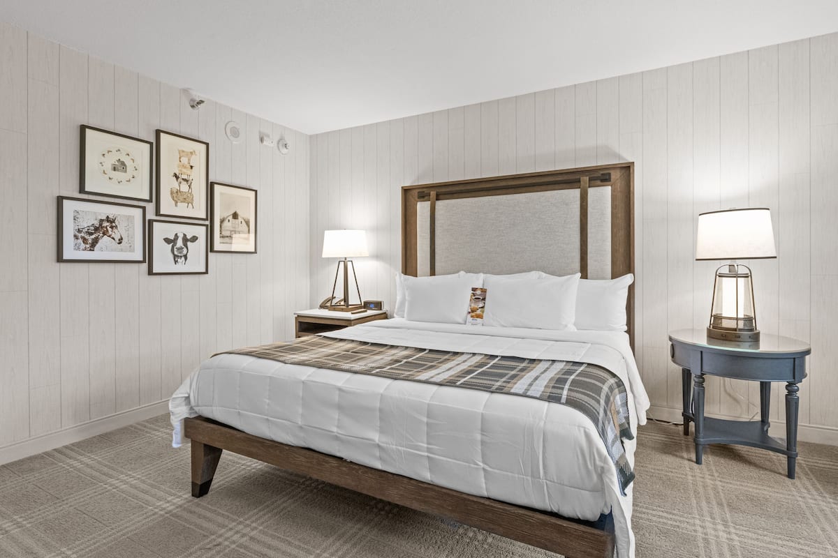 A neatly arranged hotel room with a large bed, a bedside table with a lamp, and wall-mounted artwork.