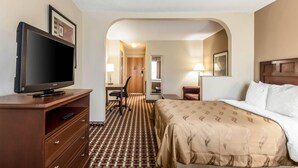 Habitació d'hotel amb un llit, una televisió sobre una petita taula de nit de fusta, escriptori amb cadira i una catifes amb dibuixos.