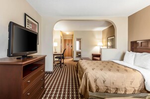 Habitación de hotel con cama, televisor sobre un aparador de madera, escritorio con silla y alfombra estampada.