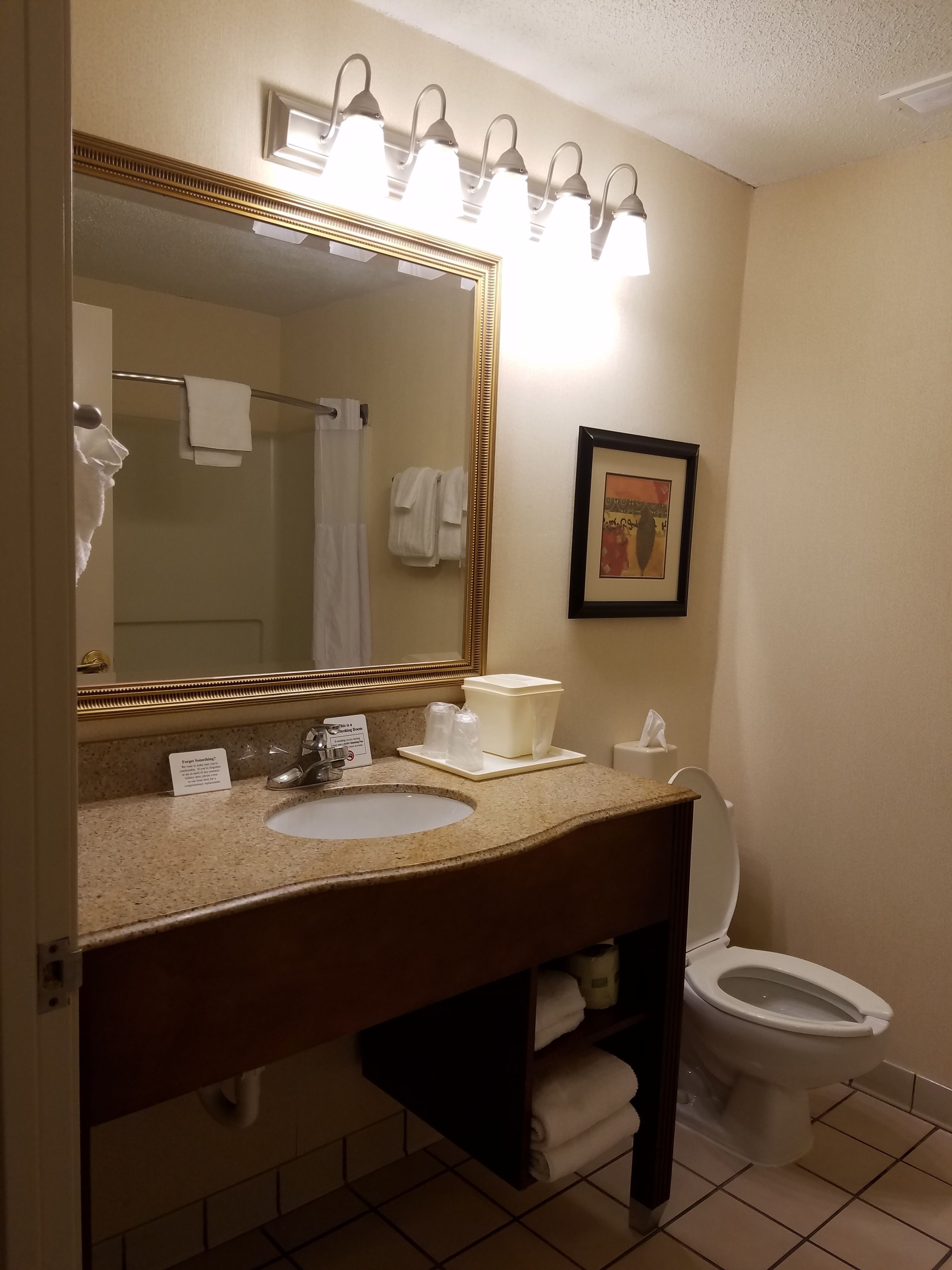 A bathroom with a sink, mirror, and toilet. There are towels hanging on the wall and a framed picture above the toilet.
