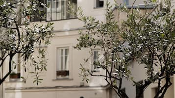 Une rue étroite, avec un arbre au premier plan et un bâtiment doté de fenêtres et de volets en arrière-plan.