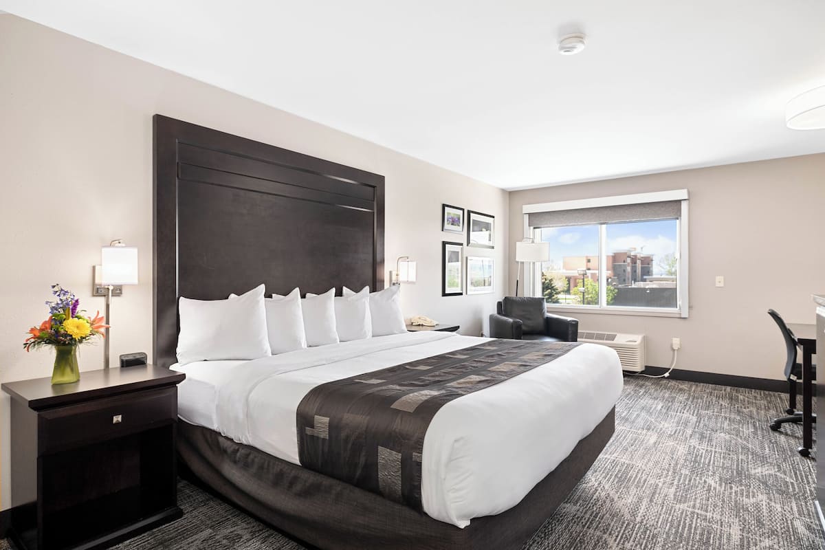 A hotel room with a large bed, a nightstand with a lamp, a desk, and a chair.