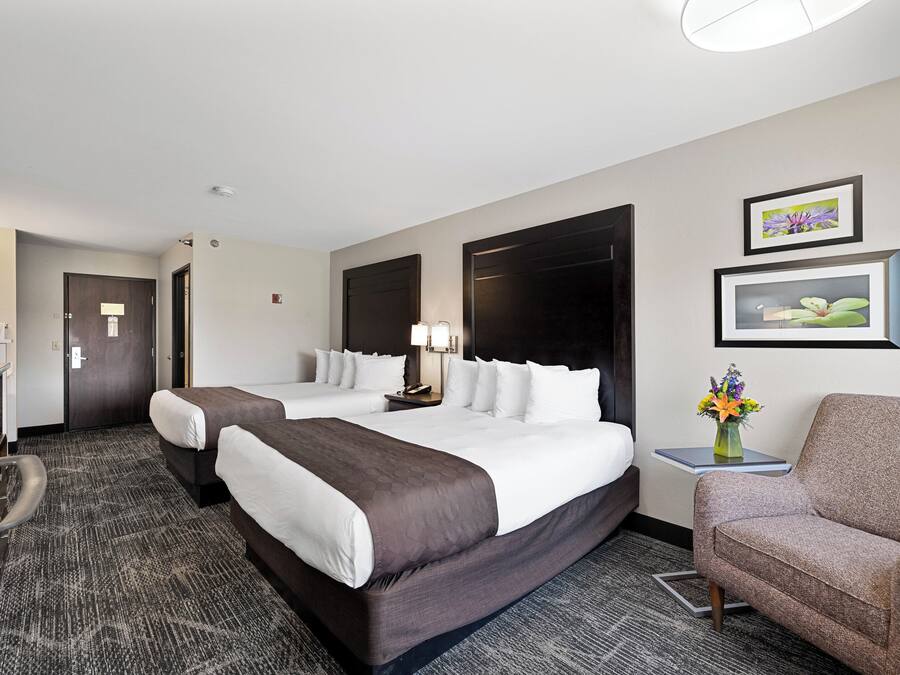 Rom – standard, 2 queensize-senger (2 Queen Beds) | Safe på rommet, blendingsgardiner og strykejern/-brett