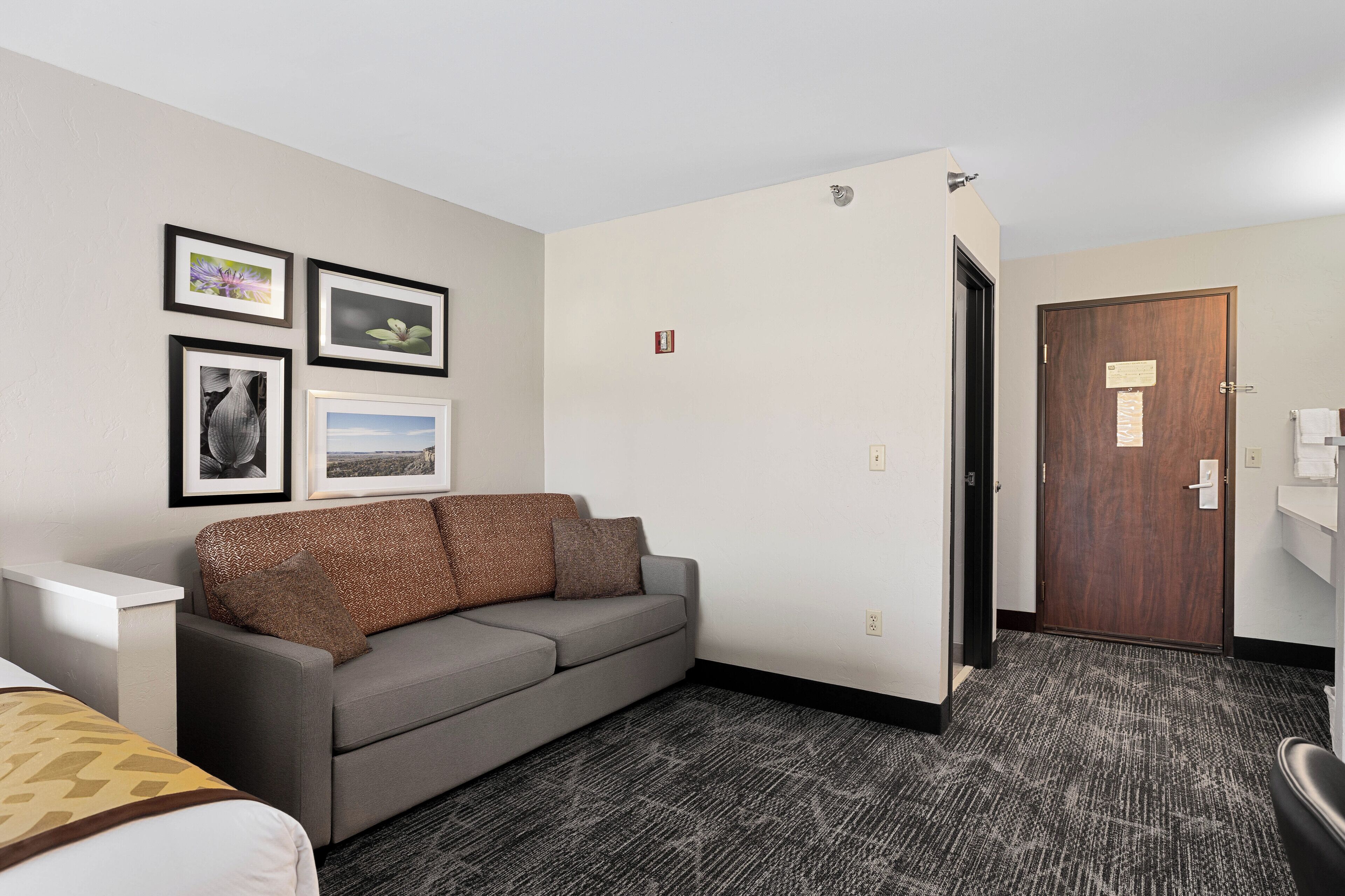 A hotel room with a grey sofa, a bed with a patterned bedspread, a carpeted floor, and a wooden door.