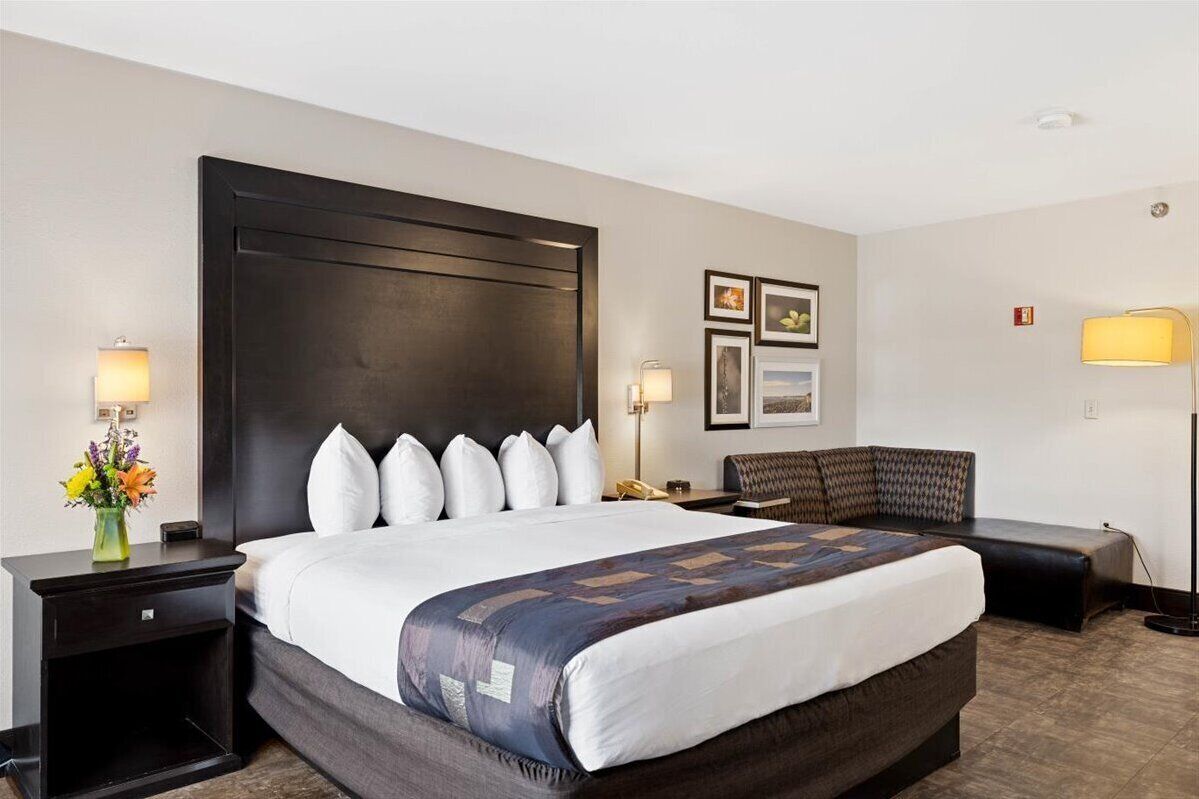 A hotel room with a large bed, bedside tables, a sofa, and wall-mounted lamps.