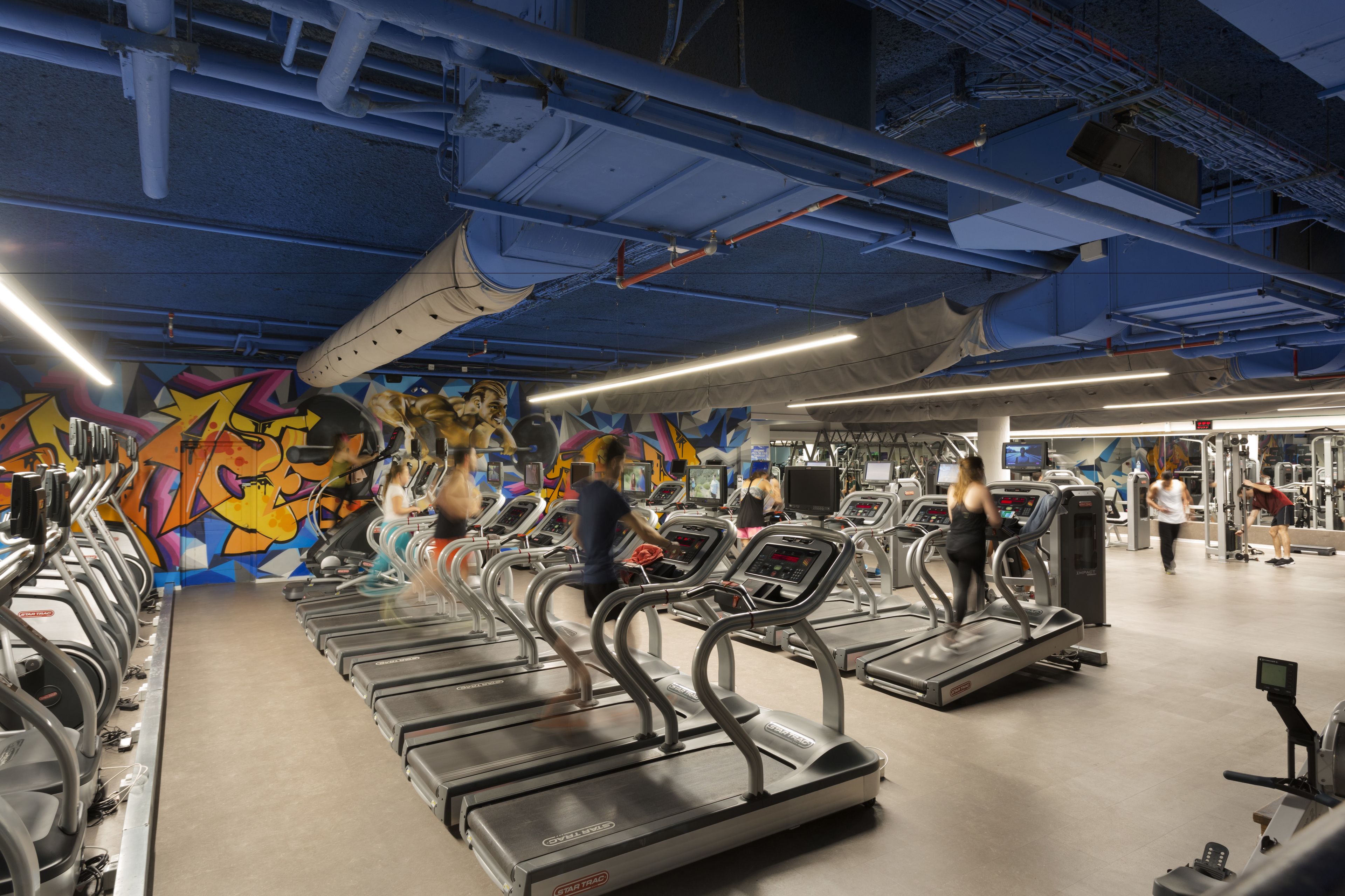 Photo - Orchid Tel Aviv