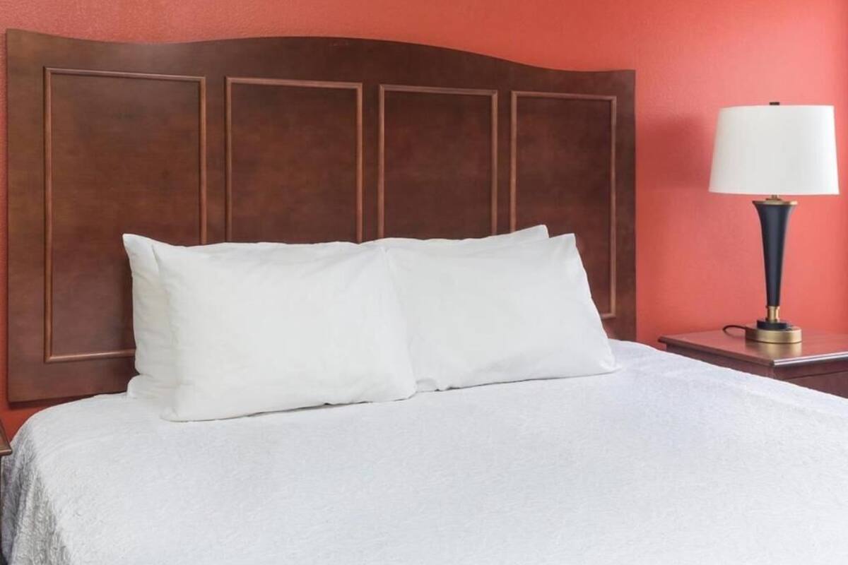 A bed with a wooden headboard, a white pillow, and a bedside table with a lamp.