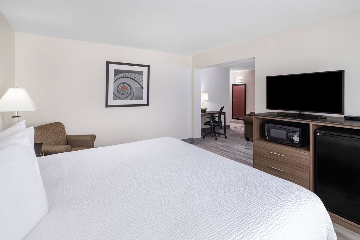 Habitación de hotel con una cama grande, un escritorio, un televisor de pantalla plana, un microondas y una silla.