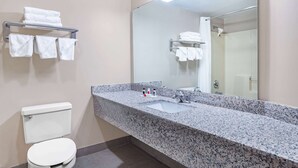 Un baño con encimera de granito, un lavabo blanco, inodoro y espejo.