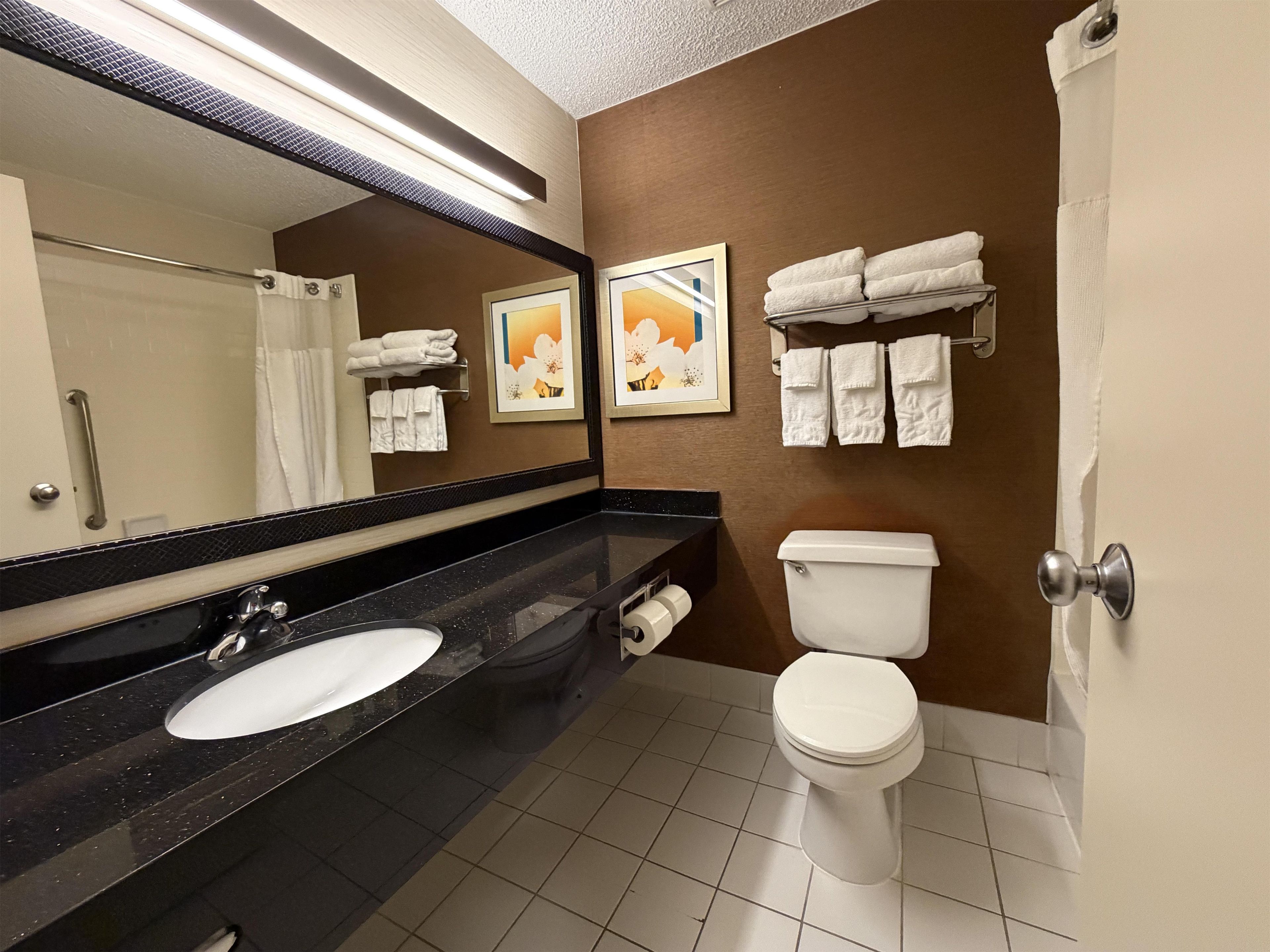 Une salle de bain avec un lavabo à comptoir noir, des toilettes blanches et un miroir au-dessus du lavabo.