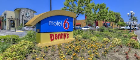 Utsikt fra overnattingsstedet