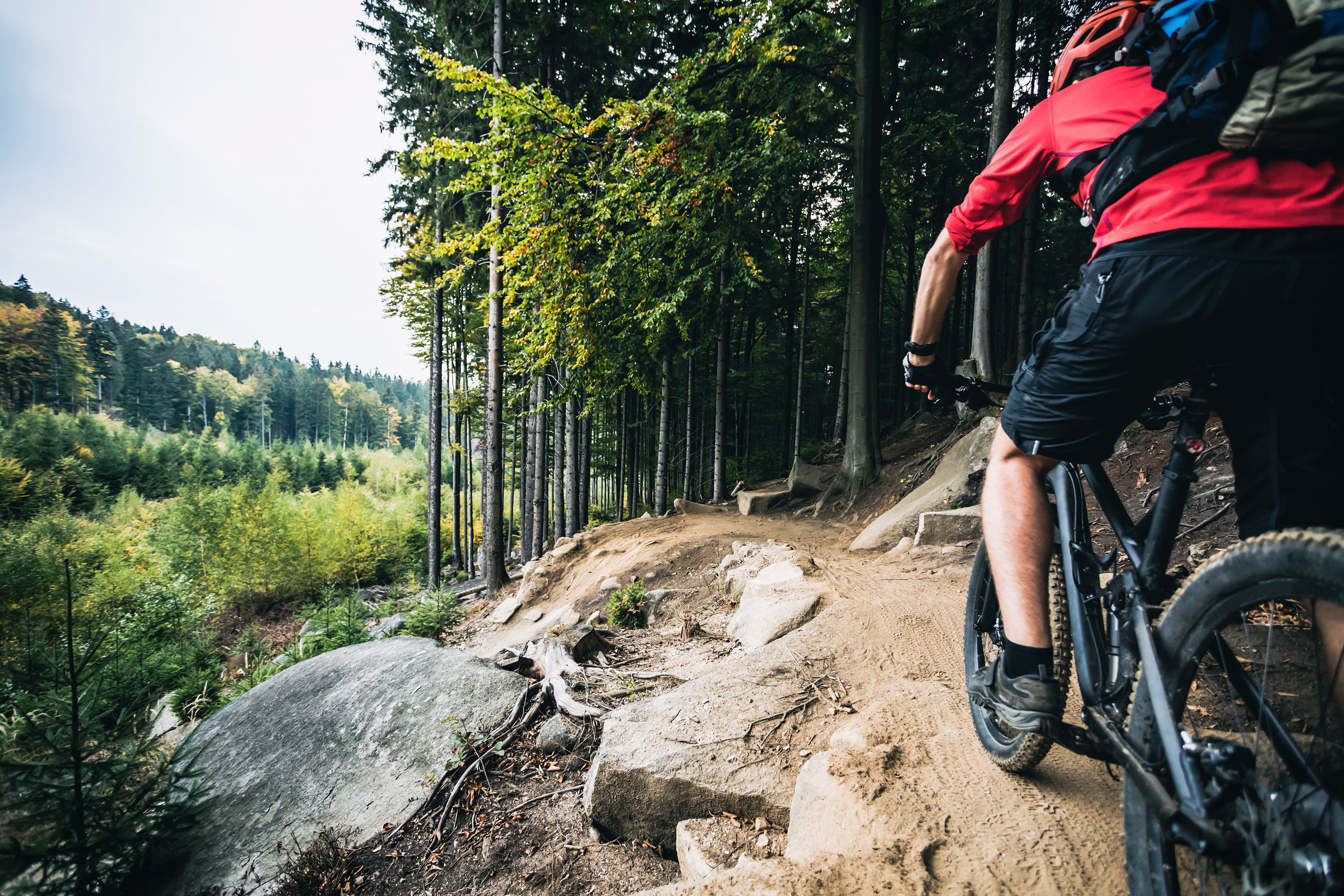 A mountain biking trail with rocky terrain and trees.