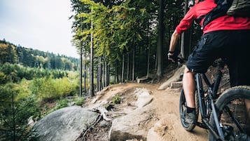 A mountain biking trail with rocky terrain and trees.