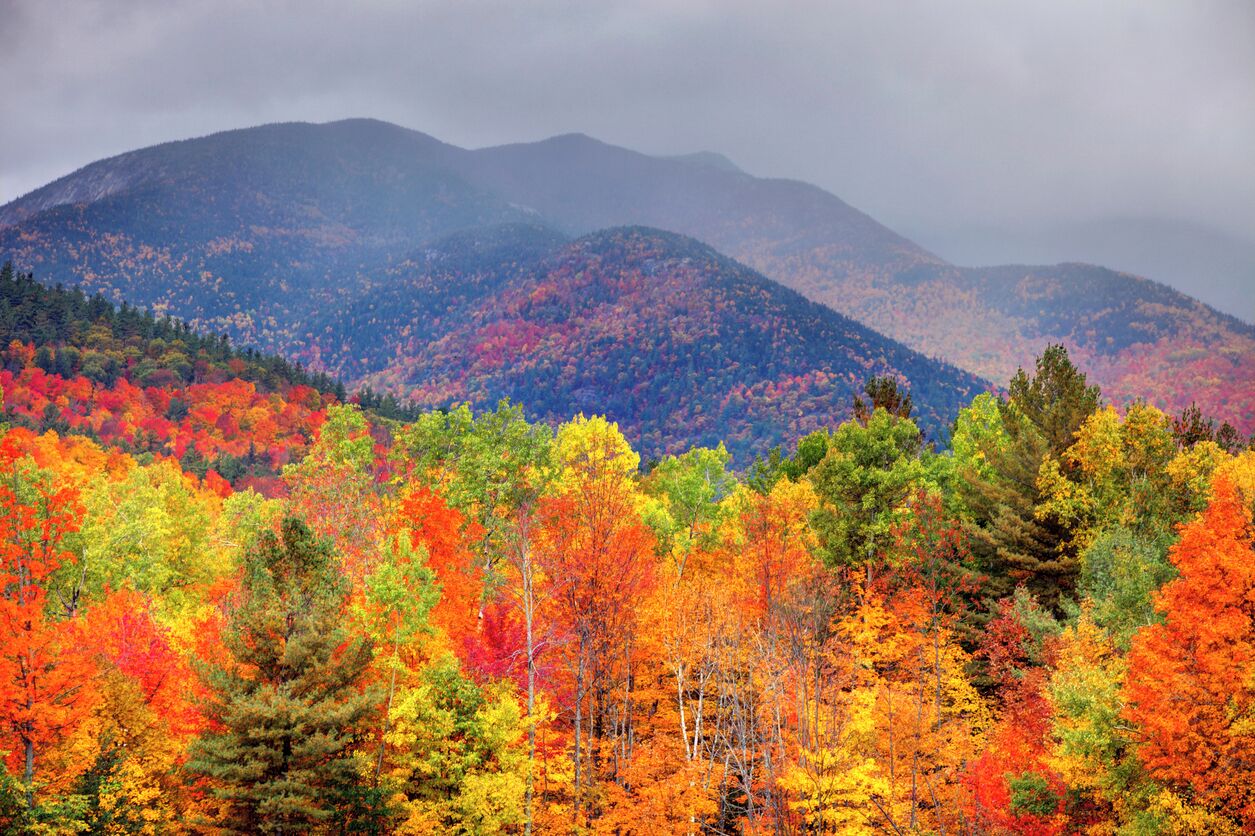 A mountainous landscape with dense forests of autumn-colored trees.