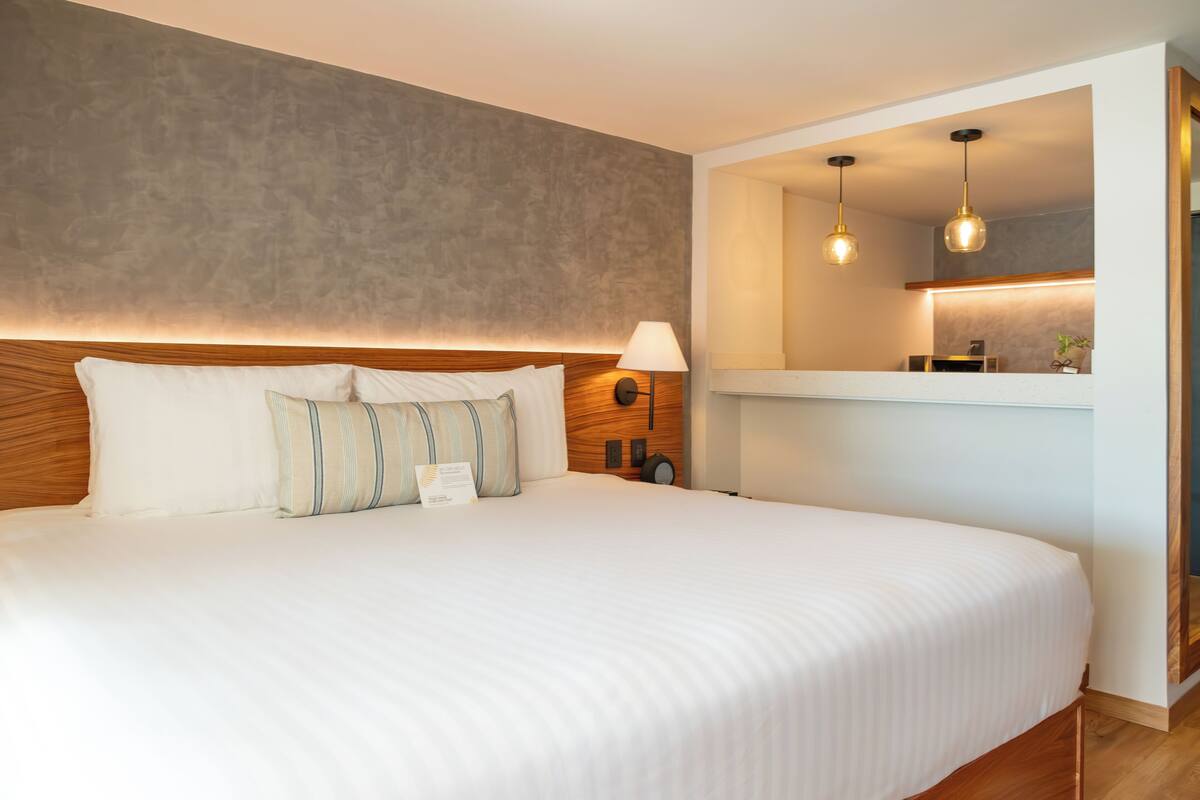A large bed with a wooden headboard, a bedside table with a lamp, and a small shelf with a plant.