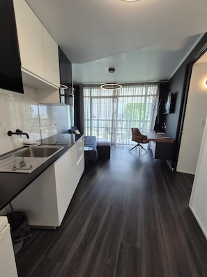 Apartment, 1 Queen-Bett | Schreibtisch, laptopgeeigneter Arbeitsplatz, Bügeleisen/Bügelbrett