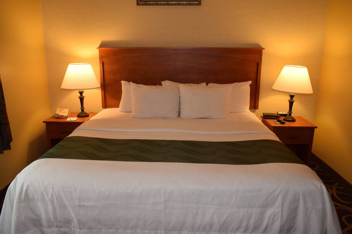 Une chambre d’hôtel avec un grand lit, deux tables de chevet avec des lampes, un téléphone et un tableau encadré au mur.