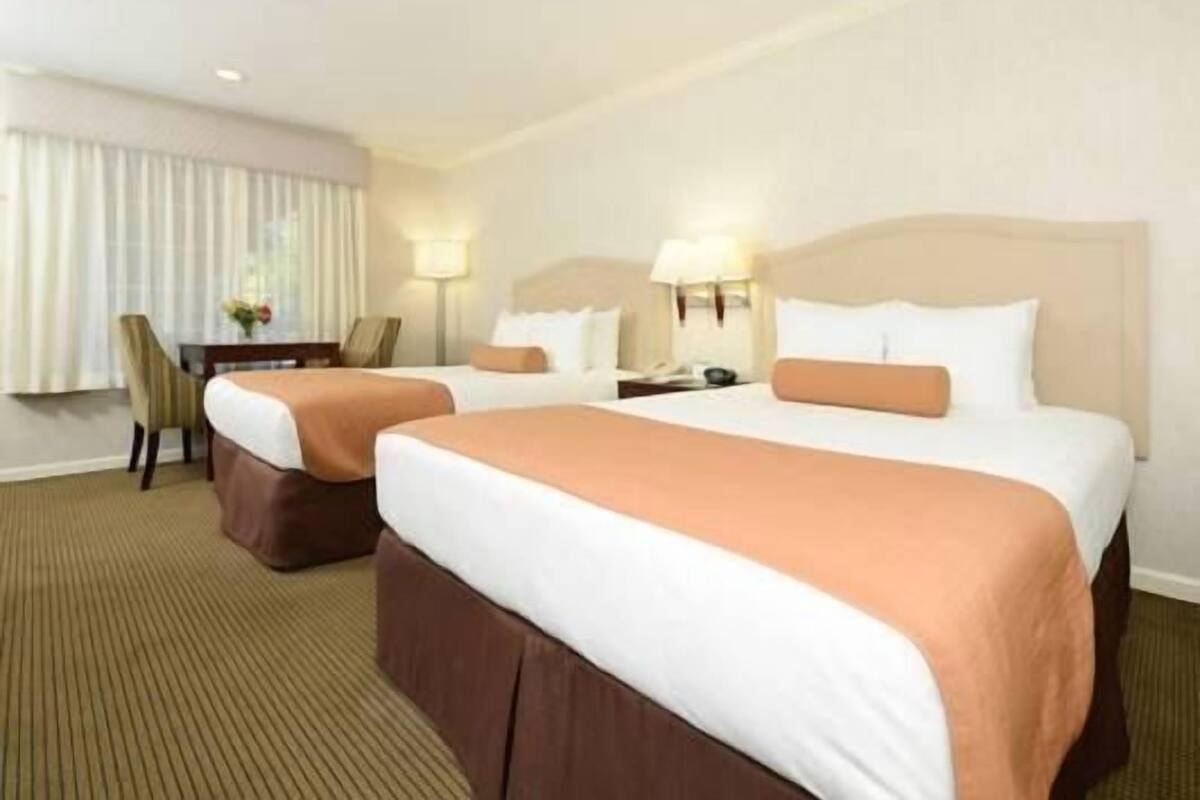 Hypo-allergenic bedding, in-room safe, desk, laptop workspace