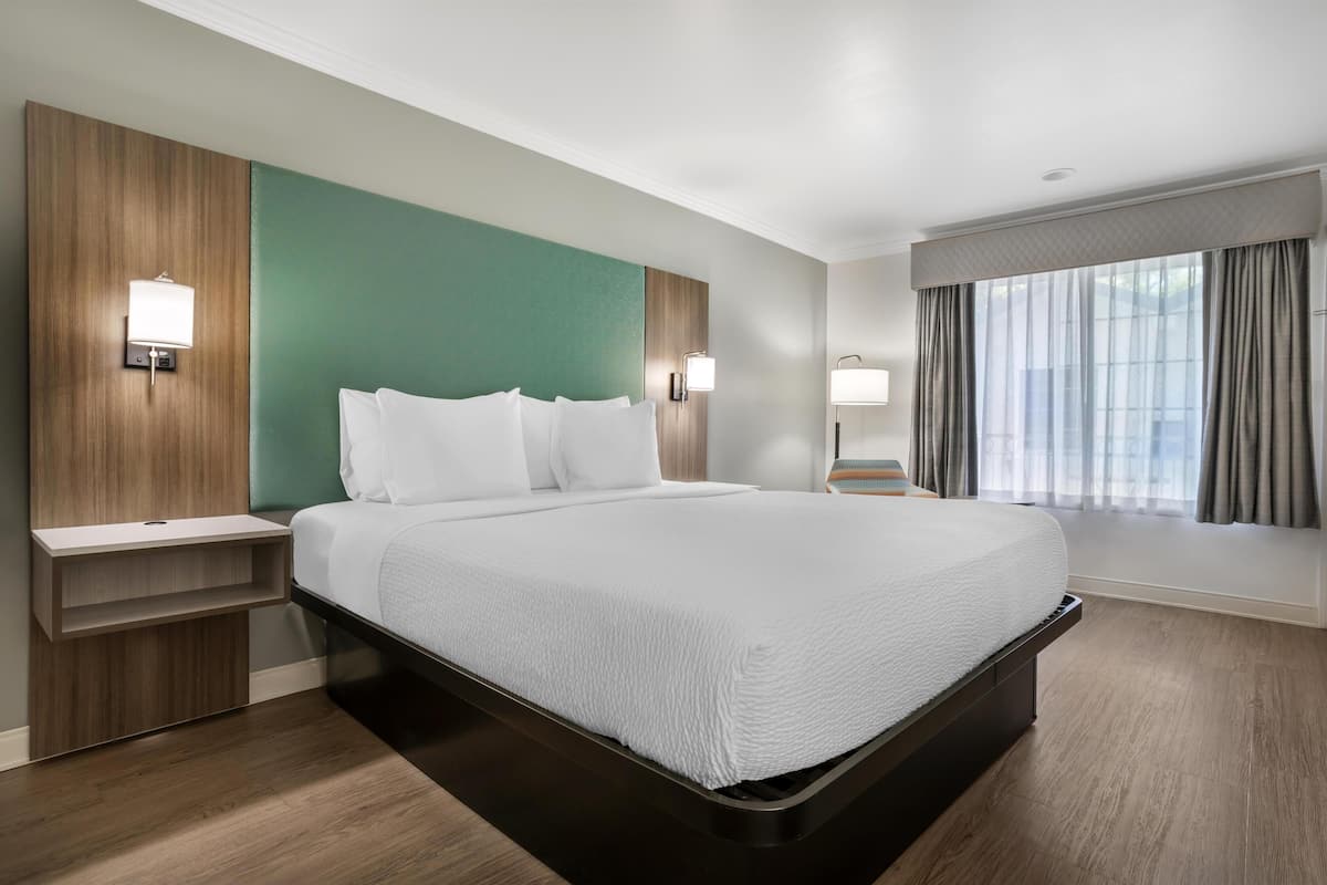 Standard Room, 1 King Bed, Non Smoking, Refrigerator & Microwave | Hypo-allergenic bedding, in-room safe, desk, laptop workspace