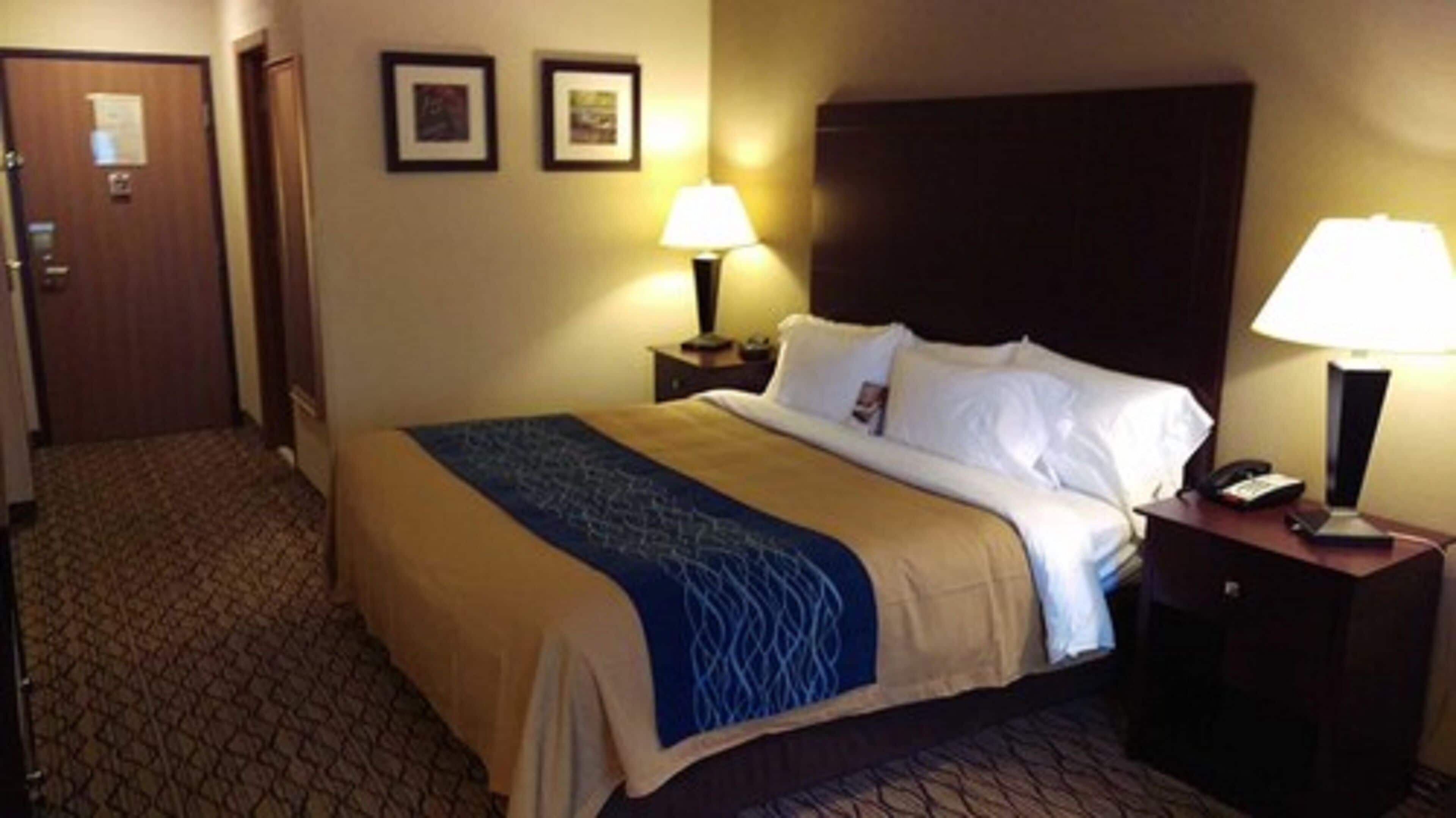 A hotel room with a bed, two bedside lamps, a nightstand, a door, and two framed pictures on the wall.