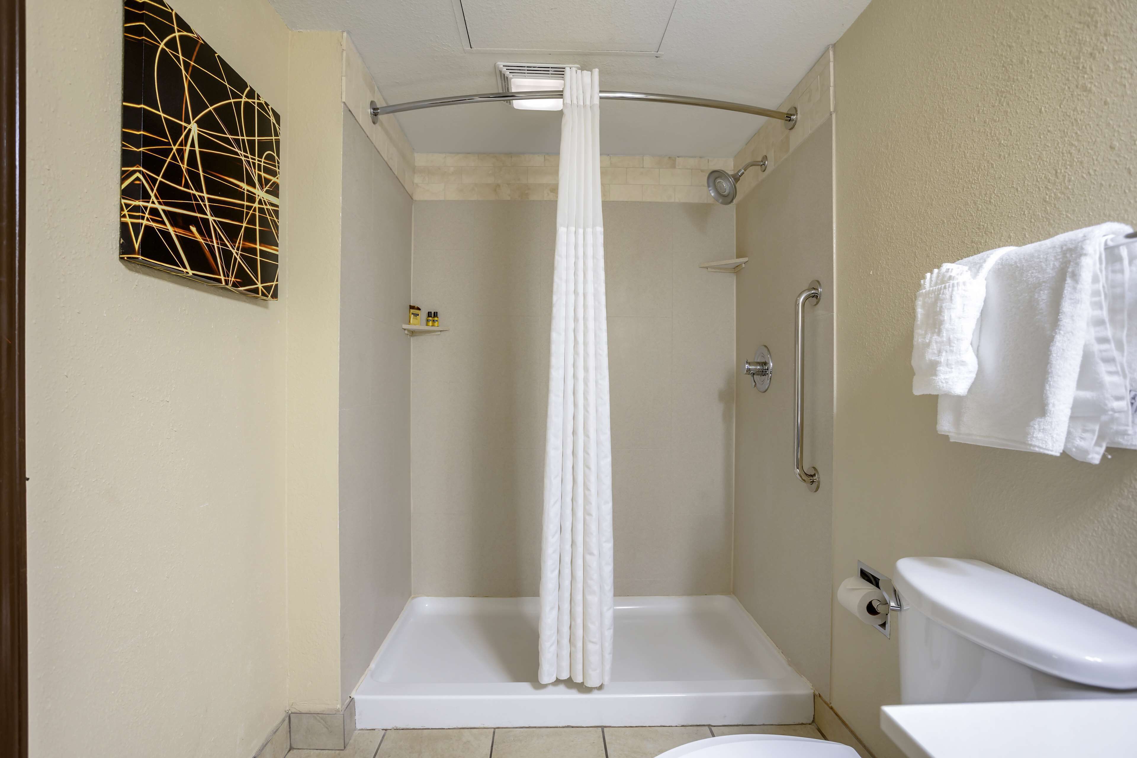 A bathroom with a shower, toilet, and a towel rack.