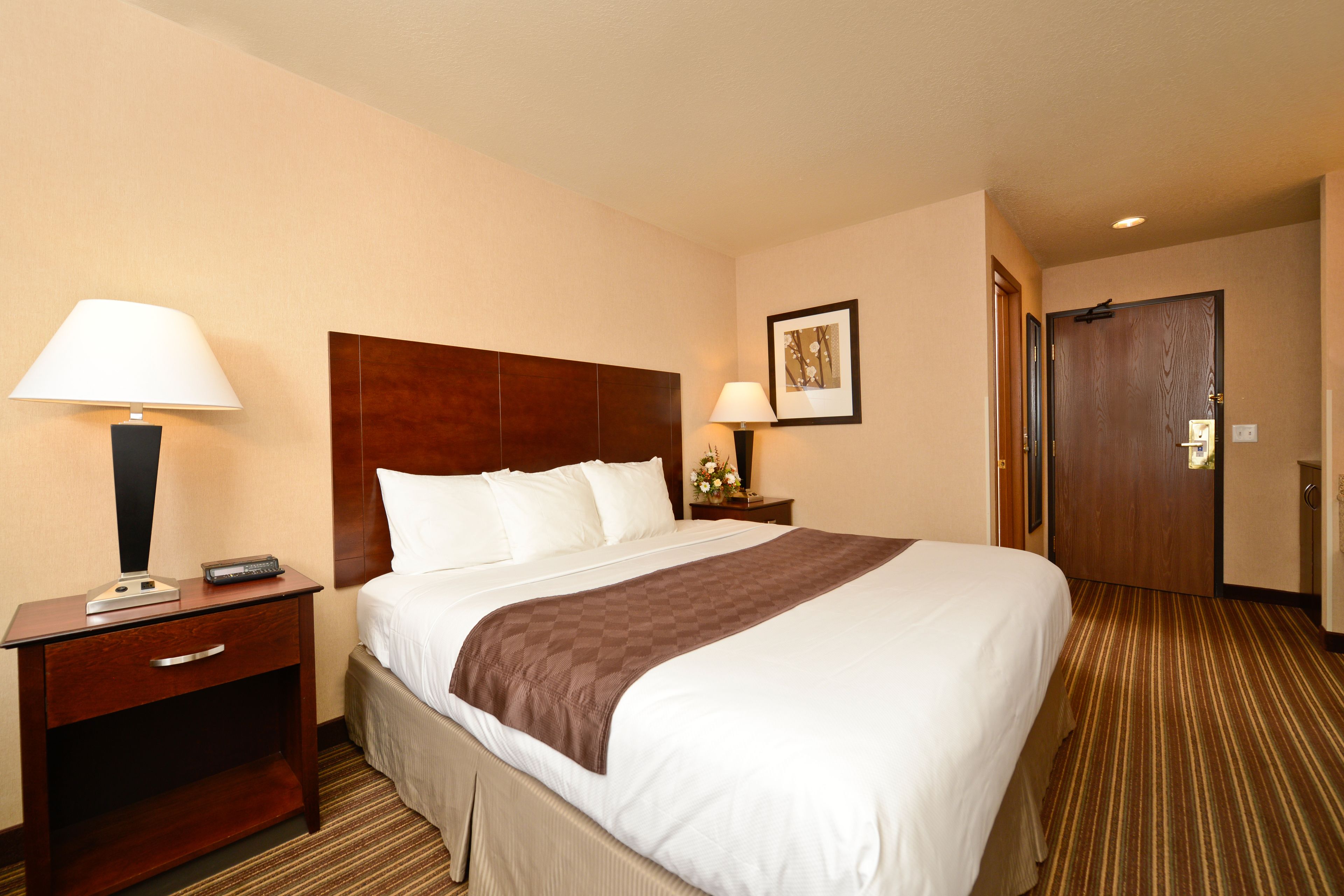 Una habitación de hotel con una cama grande, una mesita de noche con lámpara, un cuadro enmarcado en la pared y una puerta a la derecha.