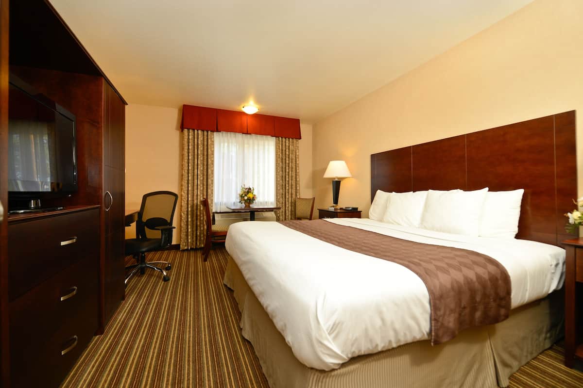A hotel room with a large bed, a desk with a chair, a television, and a lamp.