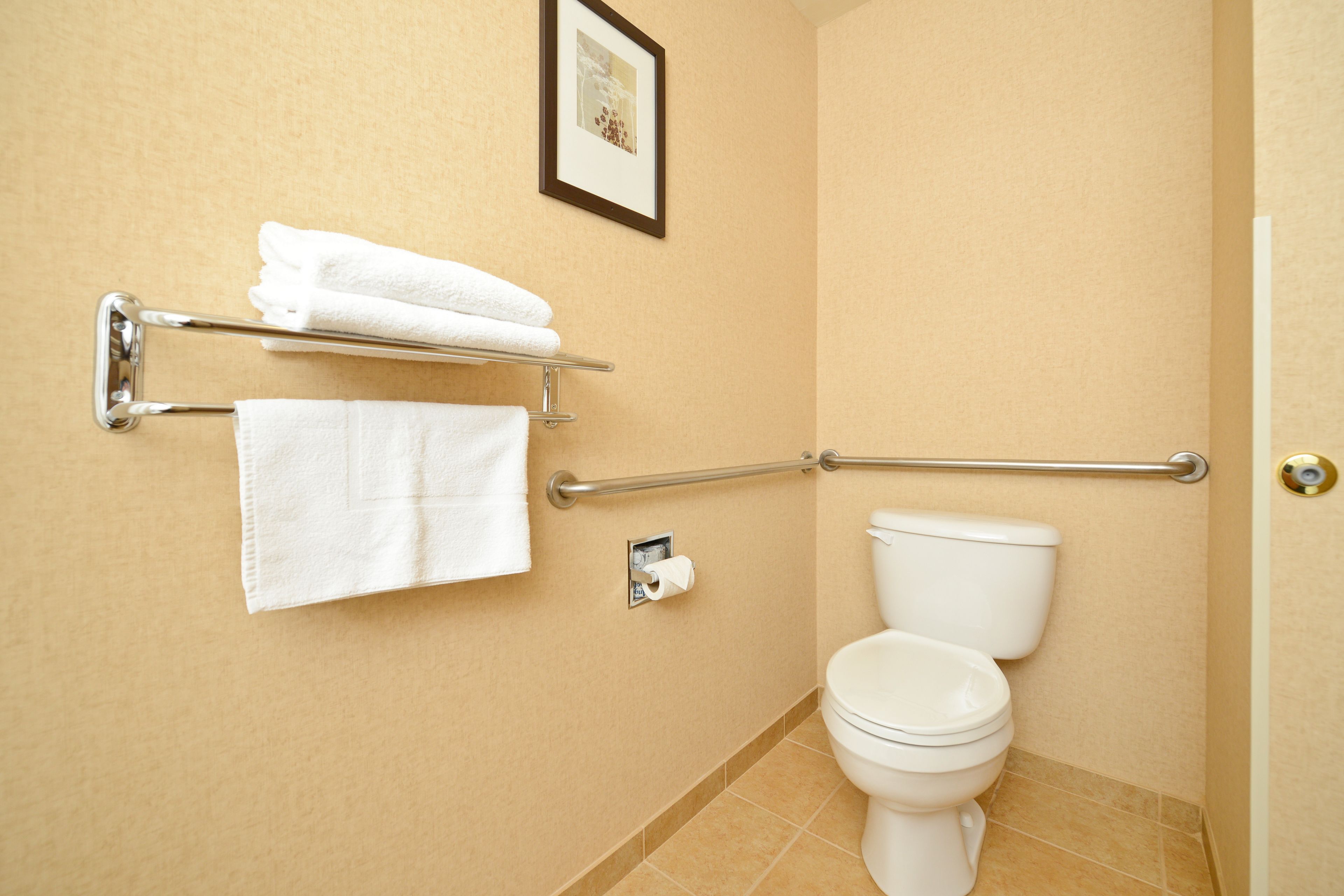A bathroom with a toilet, a towel rack, and a handrail.