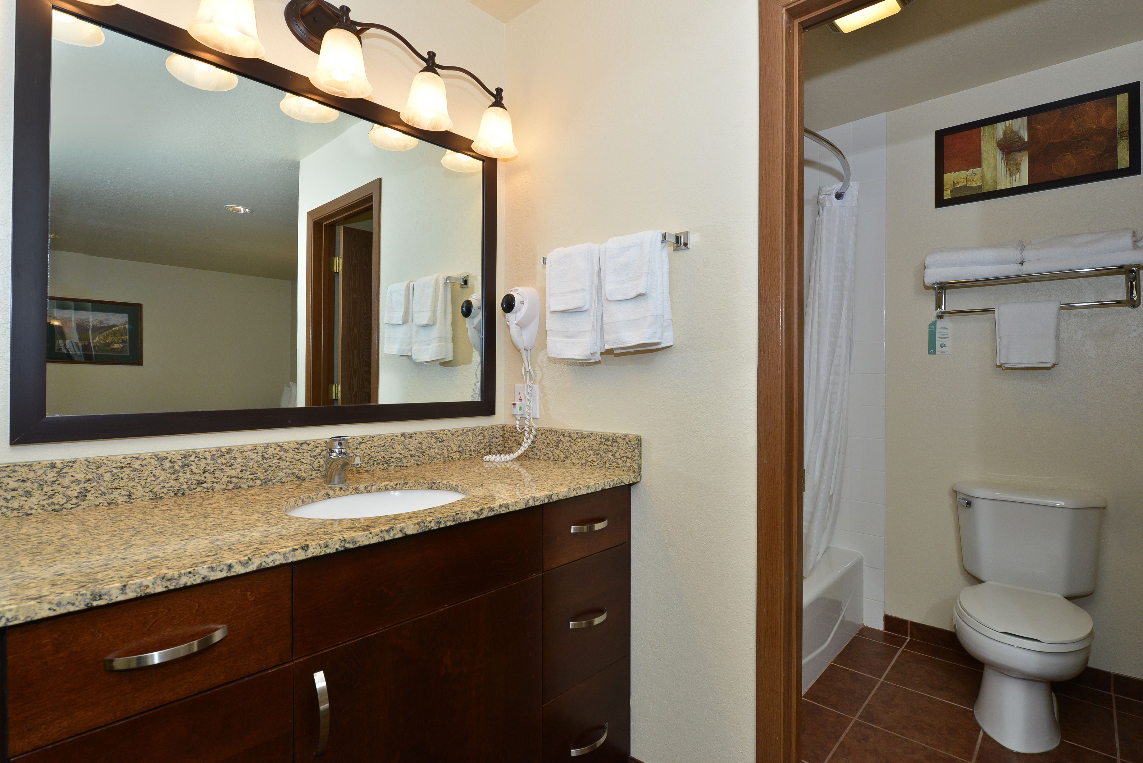 combined shower/bathtub, free toiletries, hair dryer, towels