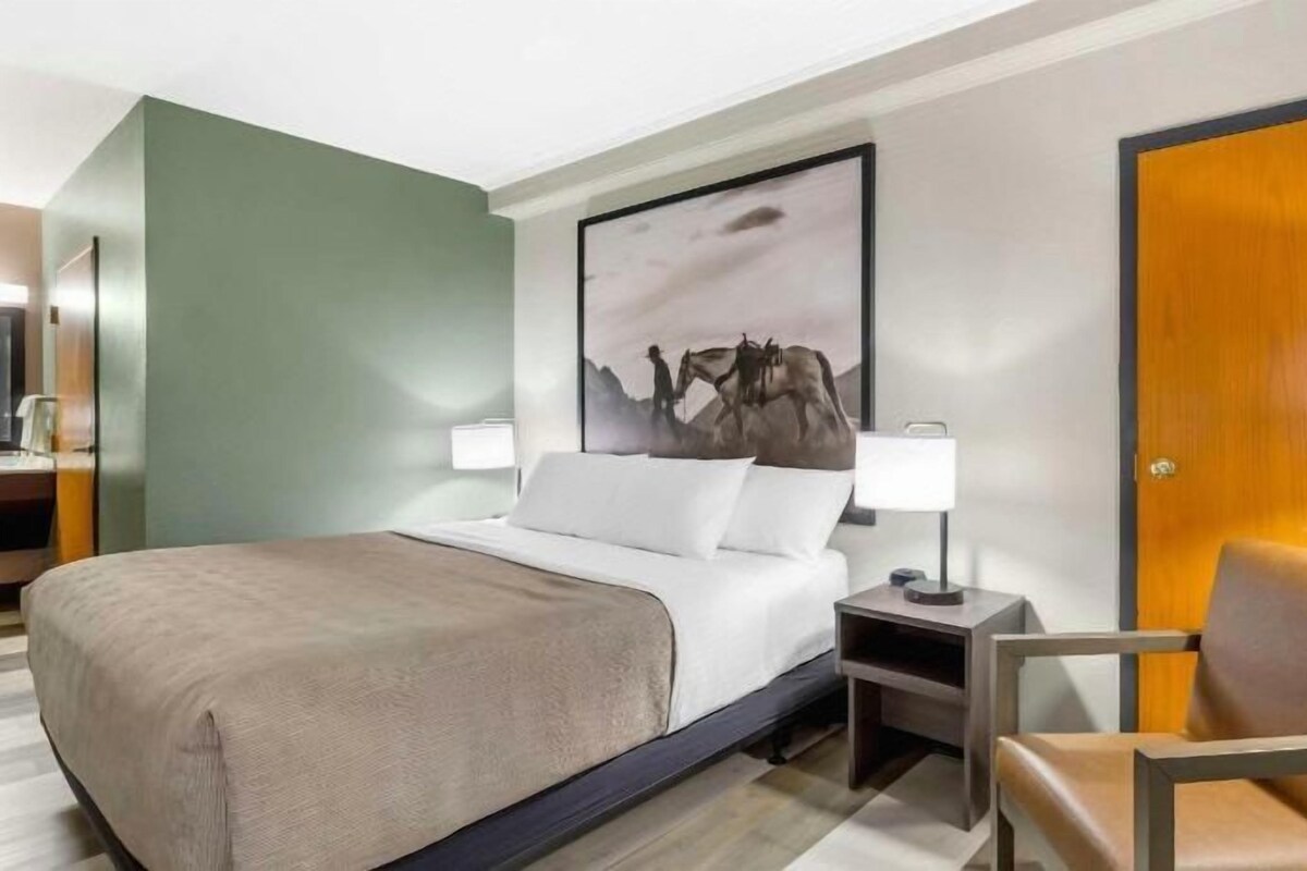 Une chambre d’hôtel avec un lit, une chaise, une table de chevet, une lampe et une porte.