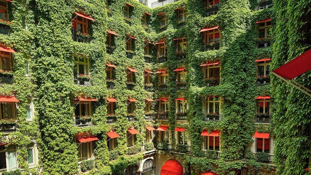 A courtyard with red umbrellas, tables, and chairs, surrounded by buildings covered in green ivy. - Hôtel Plaza Athénée - Dorchester Collection (Paris)