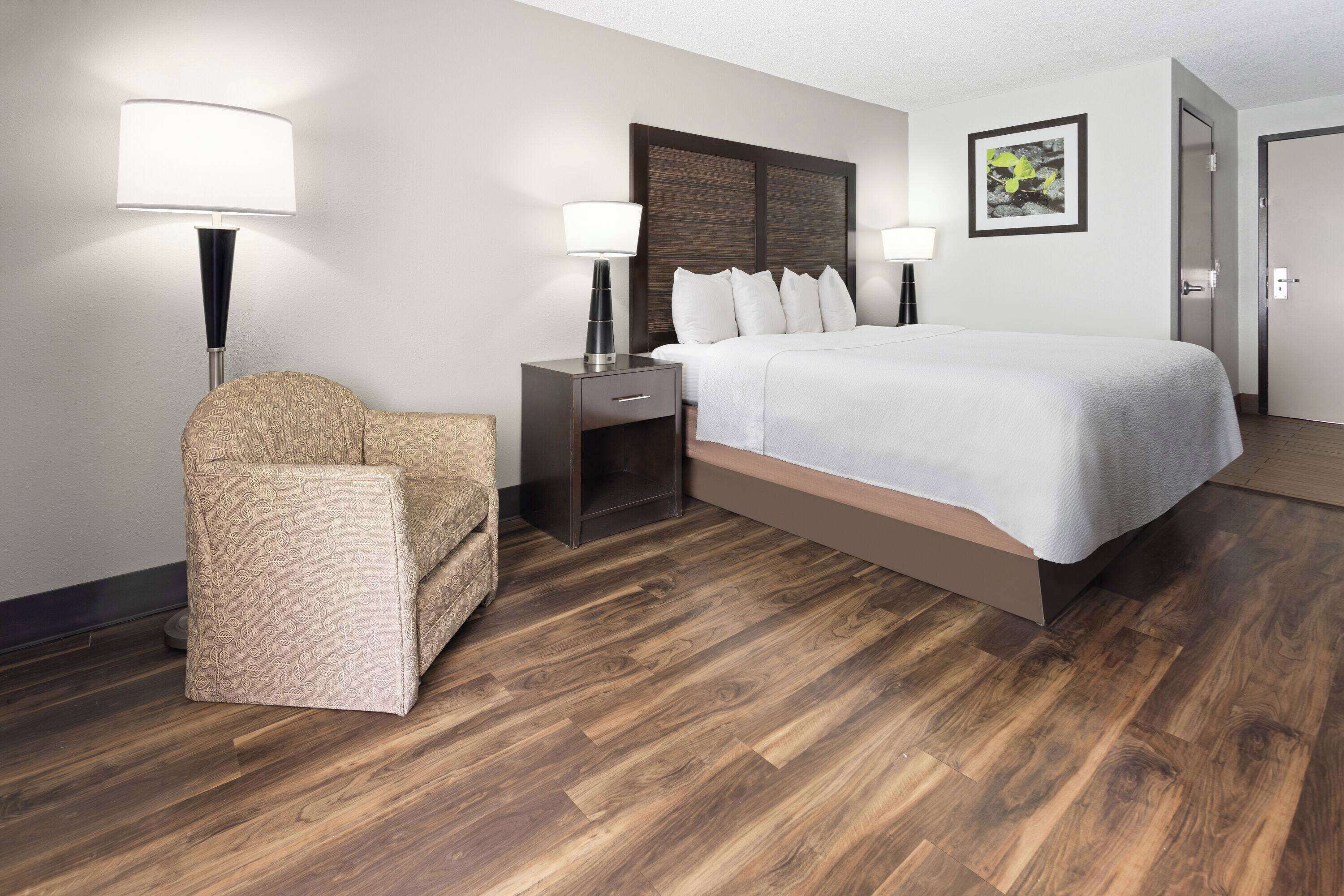 room, 1 king bed, non smoking | pillow-top beds, desk, laptop workspace, soundproofing