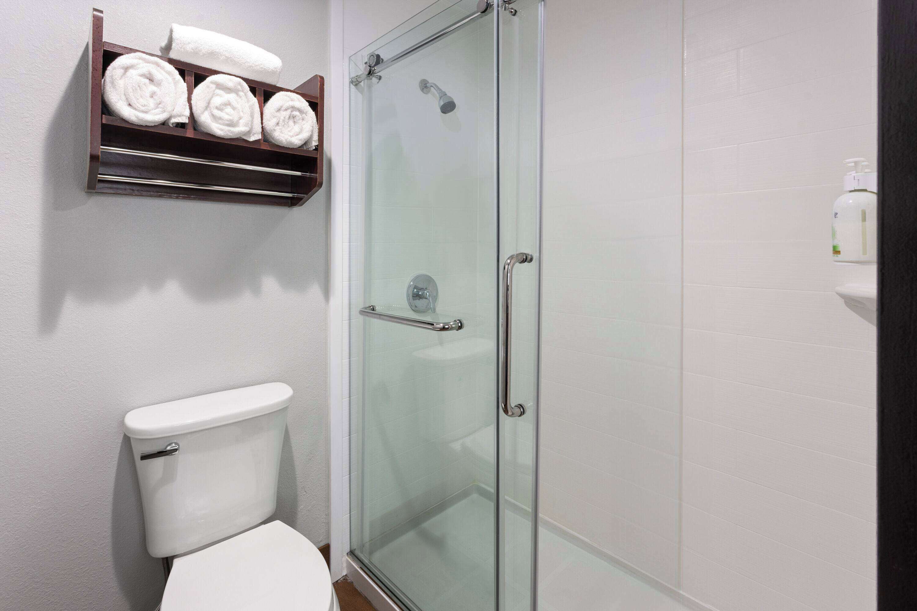 free toiletries, hair dryer, towels