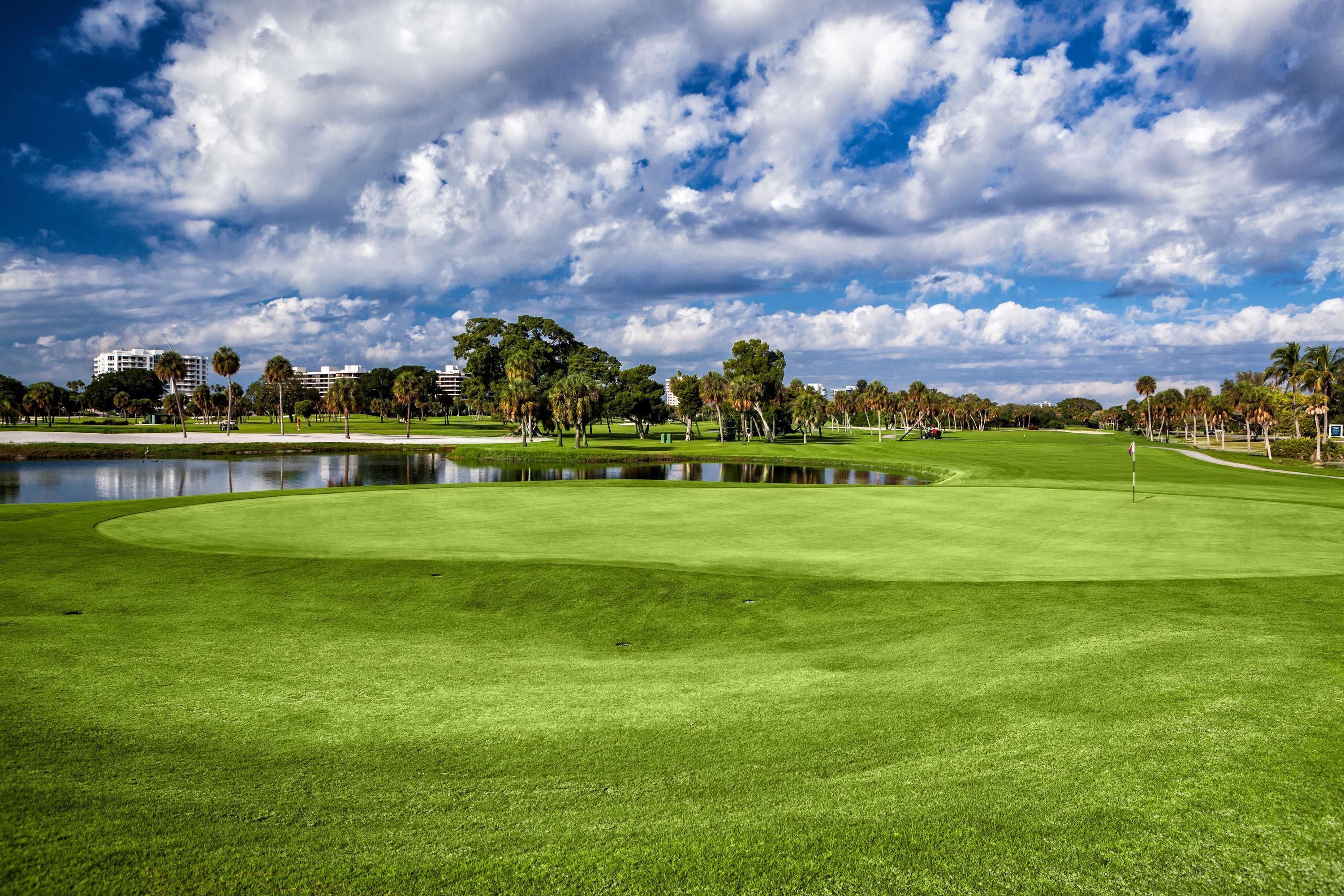 A golf course with a pond, palm trees, and buildings in the background.
