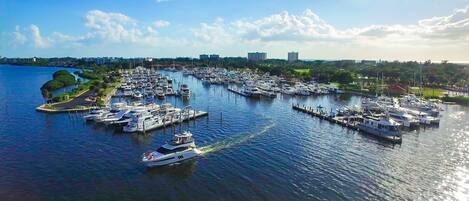 A marina with numerous boats docked, surrounded by greenery and buildings in the background.