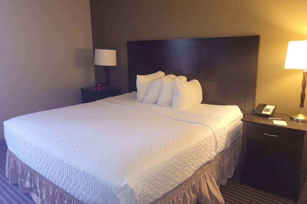 A hotel room with a large bed, a nightstand with a lamp, and a desk with a telephone.
