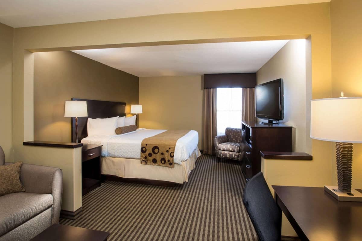 A hotel room with a bed, two bedside tables with lamps, a TV, a sofa, a chair, and a carpeted floor.