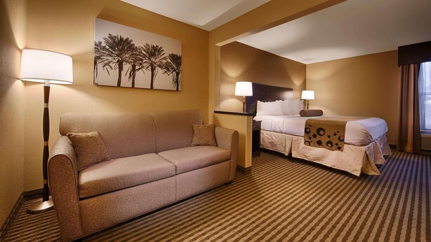 A hotel room with a sofa, a bed, a painting of palm trees, and a patterned carpet. - Mishawaka Inn (Mishawaka)