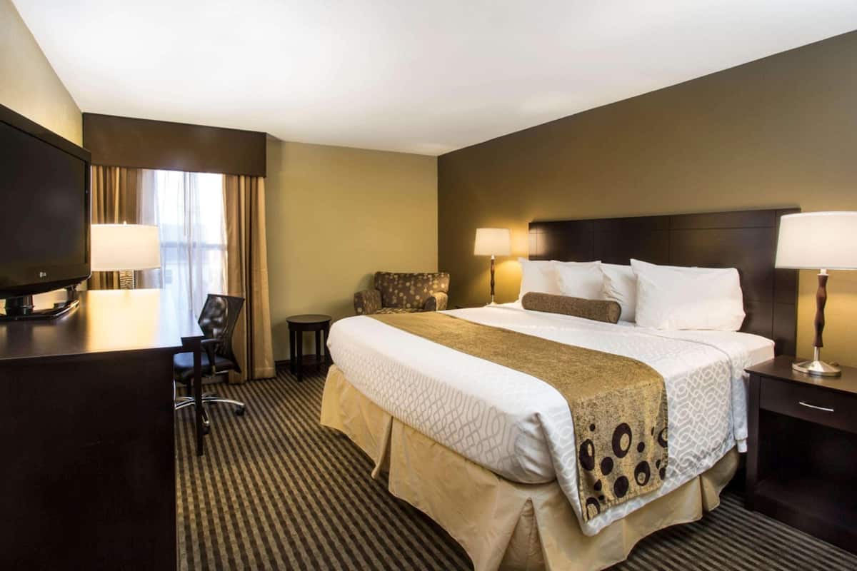 In-room safe, iron/ironing board, free WiFi, alarm clocks