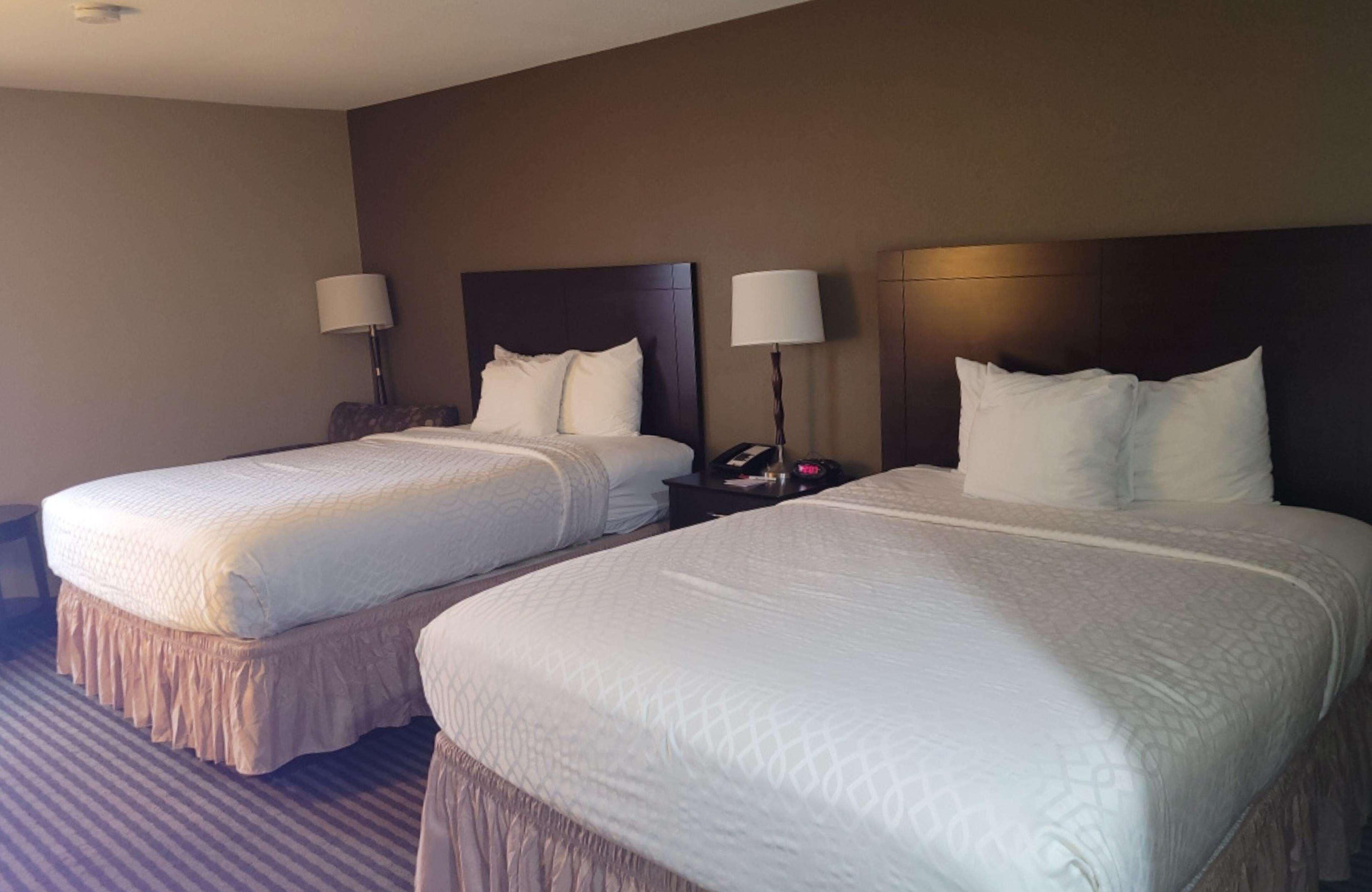 Una habitación de hotel con dos camas, cada una con cabecero, lámparas de noche y mesitas.