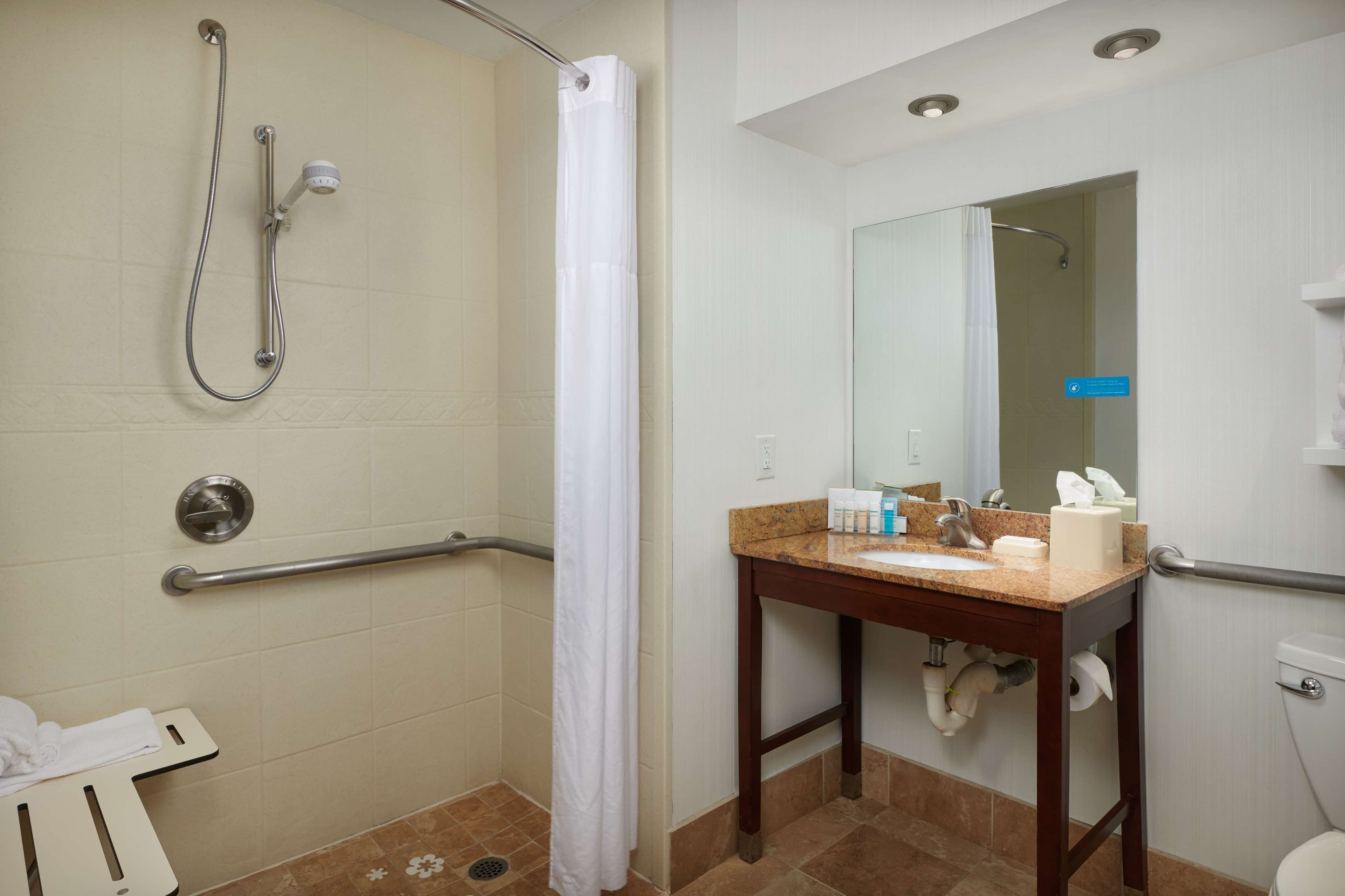 room, 1 king bed, accessible, non smoking | bathroom shower