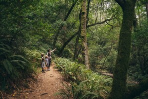 Wandern