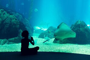 A person sitting by an aquarium with a stingray. - Holiday Inn Express Moss Point by IHG (Moss Point)
